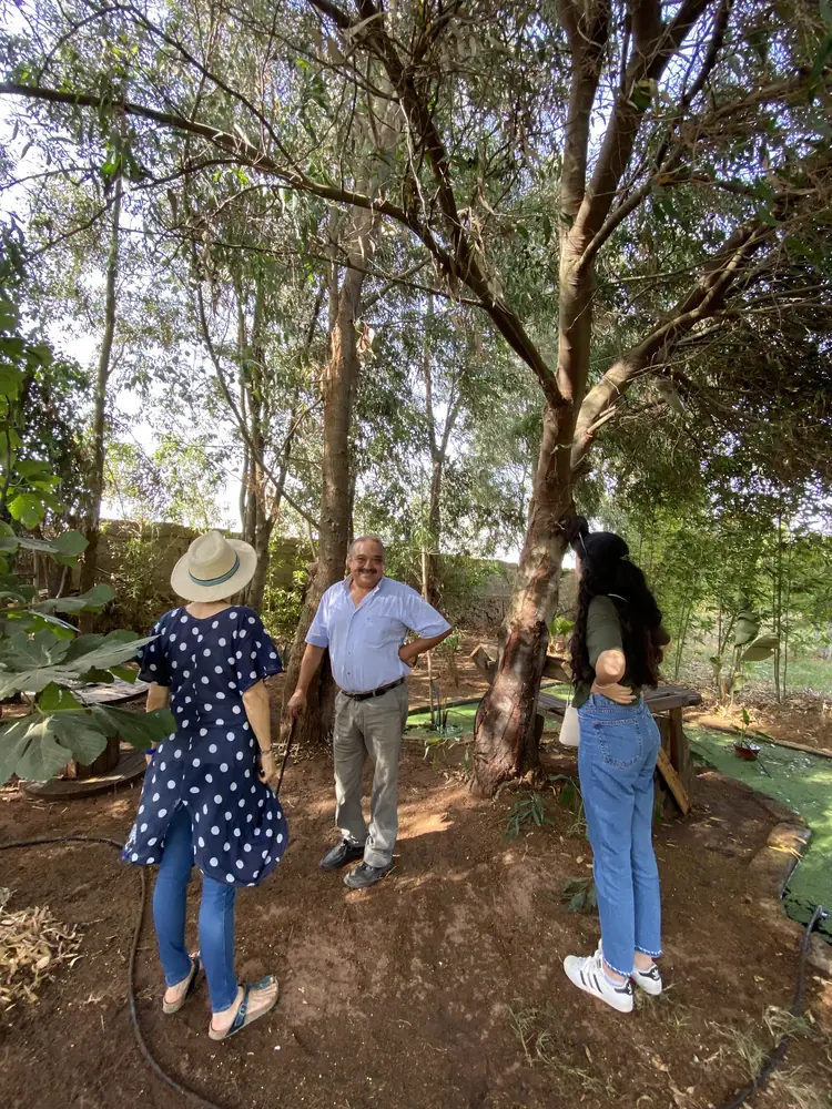 Assyl Elazzaoui talking with two visitors under eucalyptus trees