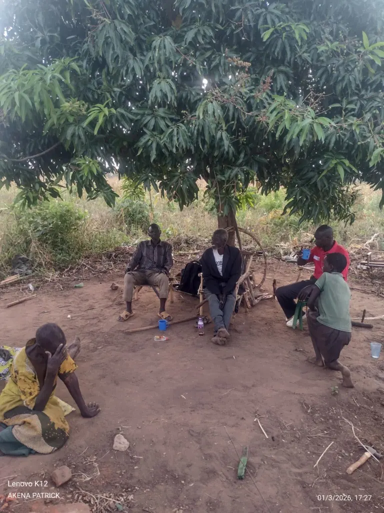 Village meeting under a mango tree in Kitgum